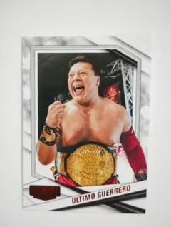 ULTIMO GUERRERO トレーディングカード No. 64