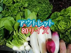 アウトレット値下げ！朝採り野菜詰め合わせ☆野菜セット80サイズ直送3