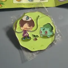 ポケモン Pokopia メタルピンバッジ 韓国限定 ピカチュウ ぽこあ