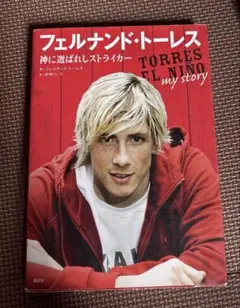 2026年最新】フェルナンド・トーレスの人気アイテム - メルカリ