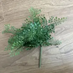 フェイクグリーン アジアンタム 人工観葉植物　ニコアンドのサムネイル