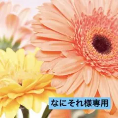 なにそれ様 リクエスト 2点 まとめ商品