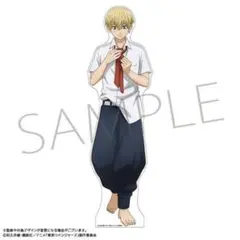 2026年最新】等身大パネル 東京リベンジャーズの人気アイテム - メルカリ