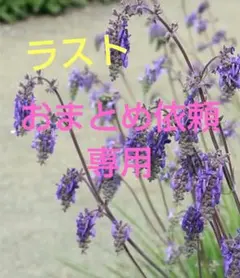 ちゃーハン様 リクエスト 4点 まとめ商品