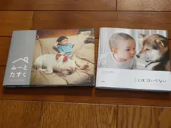 Item thumbnail for item ed20782f-b276-4bfb-9d84-fcf471761901