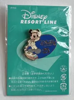 ピンバッジ　ディズニーリゾートライン　TDR25周年記念