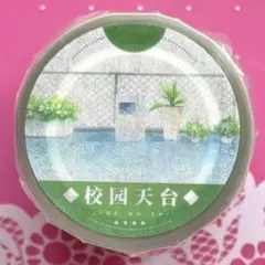 PET 金虹 5.5cm×5m 海外マスキングテープ 空 - メルカリ