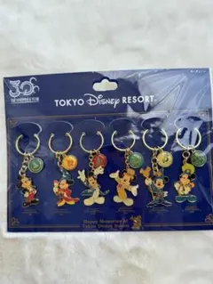 Tokyo Disney Resort 30周年 キーチェーンセット