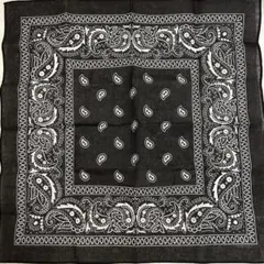 Item thumbnail for item 3d9a1015-8eaa-41f5-92a4-e84935b09801