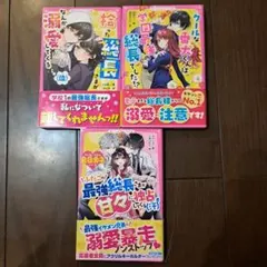 野いちごジュニア文庫　3冊まとめ売り