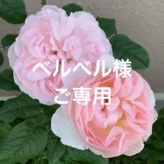 ベルベル様 リクエスト 2点 まとめ商品