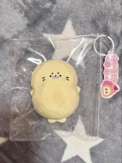 スクイーズ アザラシ