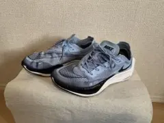 Item thumbnail for item 5ae5efe3-258d-4055-b980-5b1548835c64