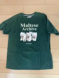Wai Kei Maltese Archive Tシャツ グリーン size2のサムネイル