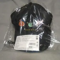 Item thumbnail for item 8c8acb2a-5bef-43a4-9523-f47db57e4202