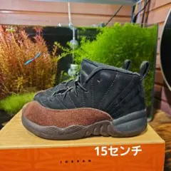 Item thumbnail for item 82c0a8ac-bce9-4431-901e-d8507f92f7fc