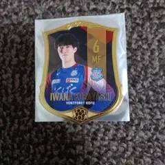 ヴァンフォーレ甲府　小林岩魚選手