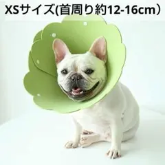 Item thumbnail for item 98bb4cd0-36b0-4cf4-8435-37847eeda3a1