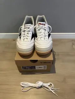 Item thumbnail for item 66da4e0a-7dd4-4413-8462-c6a94e4f197e