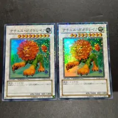 大戸屋様 リクエスト 2点 まとめ商品