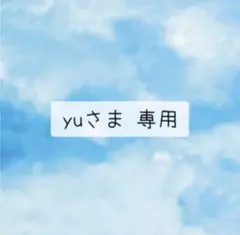 yuさま 専用②