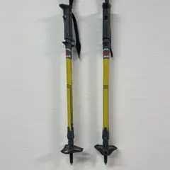 Item thumbnail for item 10f4d304-c4c8-403b-b2b0-608c42b8819e