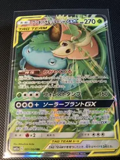 2026年最新】TAGTEAMの人気アイテム - メルカリ