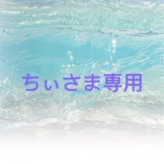 ちぃさま専用