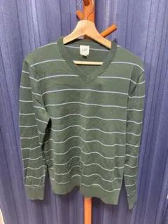 GAP グリーン ストライプ Vネックセーター S