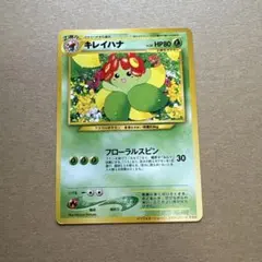 旧裏 キレイハナ まとめ売り2枚 インフォメーションパックおまけカード