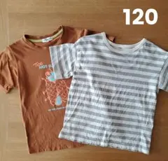 キッズ Tシャツ 2枚セット 120cm