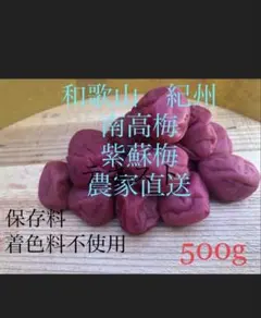 和歌山 紀州 南高梅 紫蘇梅干し 無添加 500g 農家直送