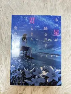 あの星が降る丘で君とまた出会いたい