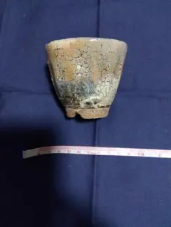 2025年最新】鬼萩の人気アイテム - メルカリ