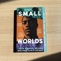 Item thumbnail for item 9fe05f1b-126e-4a6c-a556-e1cd18a4ecf9