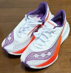 2026年最新】エンドルフィンプロ3の人気アイテム - メルカリ