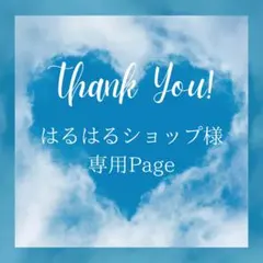 はるはるショップ様 リクエスト 5点 まとめ商品