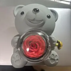 クマ型ギフトボックス 赤いバラ入り
