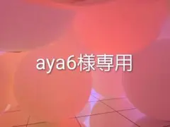 aya6様専用