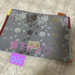 Item thumbnail for item 6070fc6d-471e-48d1-ba5a-1e6a62d4da69