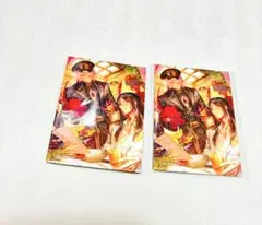 fgo CBCマグネット　セット　カルデアエクスプレス　カルナ　諸葛孔明