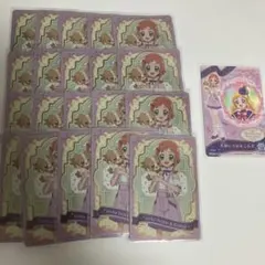 キュアフレンディ 犬飼いろは わんだふるぷりきゅあ プリキュアグミカード 21枚