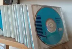 メイさん専用　ユーキャン ピンズラー American English1