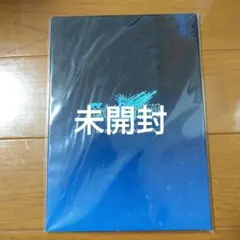 A3！ ガイ オーディオ ビジュアルフェア L版 ブロマイド - メルカリ