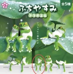 ふちやすみ アマガエル すわり　②