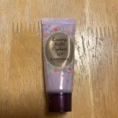 CANMAKE ラスティングマルチアイベース WP01　アイベース