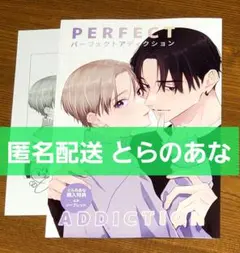 パーフェクトアディクション 4　とらのあな特典　リーフレット　ペーパー美山薫子