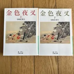 金色夜叉 上下巻セット