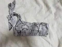 ALEXIA STAM ビキニ