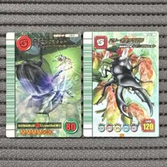 2026年最新】パリーオオクワガタの人気アイテム - メルカリ